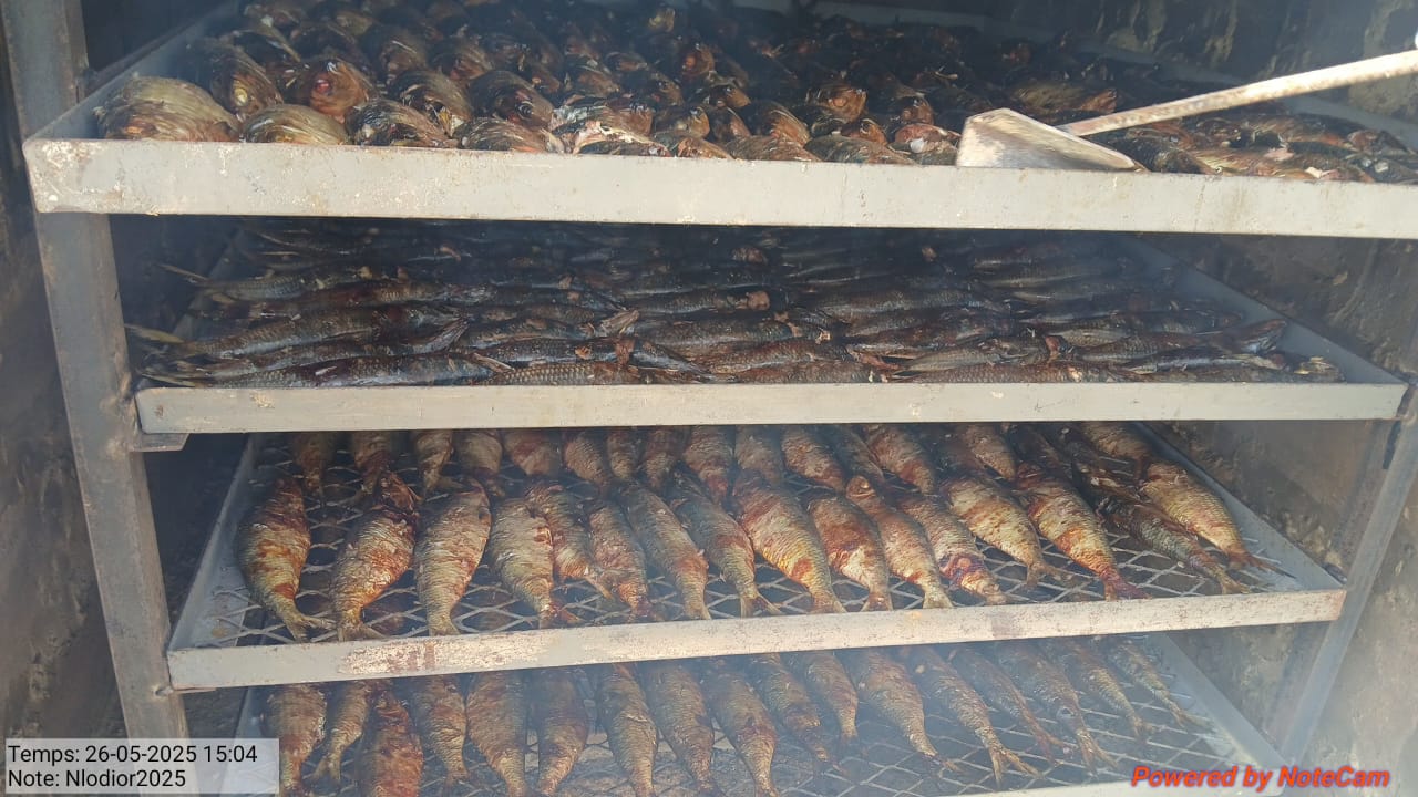 Fumage du poisson